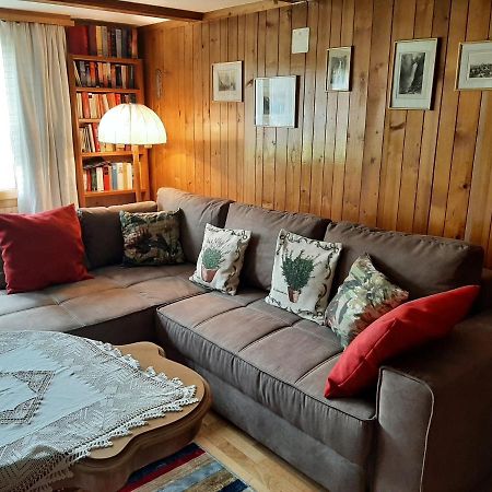 Chalet Am Fels Innertkirchen Exteriör bild