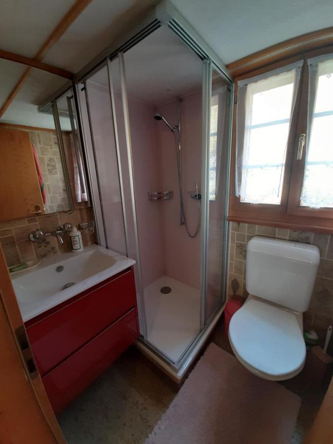 Chalet Am Fels Innertkirchen Exteriör bild